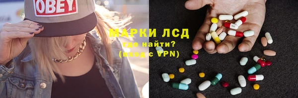 гашиш Богданович