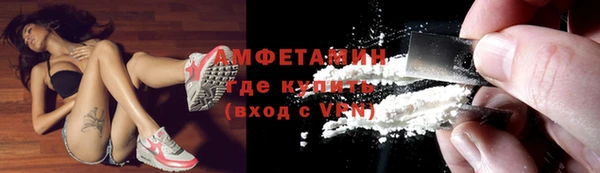 гашиш Богданович
