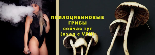 apvp Богородицк