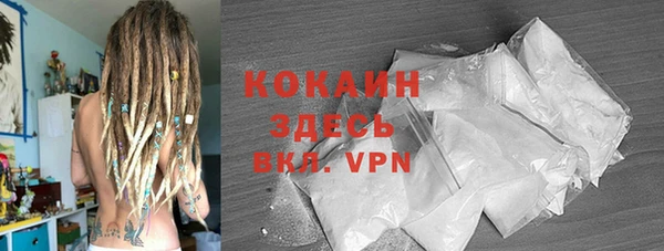 гашиш Богданович
