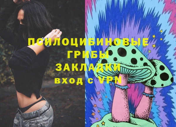 apvp Богородицк