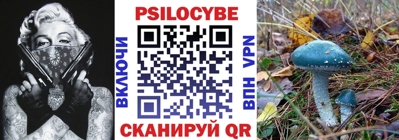дарнет шоп гидра вход Псилоцибиновые грибы мицелий Юрьев-Польский